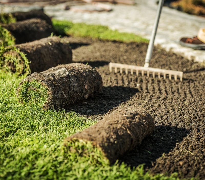 Santiago’s Landscaping Services Inc, Walkways California, Walkways CA, Walkways Paso Robles California, Walkways Paso Robles CA, Retaining Walls Paso Robles California, Retaining Walls Paso Robles CA, Patios Paso Robles California, Patios Paso Robles CA, Irrigation Paso Robles California, Irrigation Paso Robles CA, Sod Installation Paso Robles California, Sod Installation Paso Robles CA, Pavers Paso Robles California, Pavers Paso Robles CA, Stone Walls Paso Robles California, Stone Walls Paso Robles CA, Mulch Installation Paso Robles California, Mulch Installation Paso Robles CA, Planting Paso Robles California, Planting Paso Robles CA, Landscape Maintenance Paso Robles California, Landscape Maintenance Paso Robles CA, Clean Up Paso Robles California, Clean Up Paso Robles CA, Weed Control Paso Robles California, Weed Control Paso Robles CA, Walkways Templeton California, Walkways Templeton CA, Retaining Walls Templeton California, Retaining Walls Templeton CA, Patios Templeton California, Patios Templeton CA, Irrigation Templeton California, Irrigation Templeton CA, Sod Installation Templeton California, Sod Installation Templeton CA, Pavers Templeton California, Pavers Templeton CA, Stone Walls Templeton California, Stone Walls Templeton CA, Mulch Installation Templeton California, Mulch Installation Templeton CA, Planting Templeton California, Planting Templeton CA, Landscape Maintenance Templeton California, Landscape Maintenance Templeton CA, Clean Up Templeton California, Clean Up Templeton CA, Weed Control Templeton California, Weed Control Templeton CA, Walkways San Miguel California, Walkways San Miguel CA, Retaining Walls San Miguel California, Retaining Walls San Miguel CA, Patios San Miguel California, Patios San Miguel CA, Irrigation San Miguel California, Irrigation San Miguel CA, Sod Installation San Miguel California, Sod Installation San Miguel CA, Pavers San Miguel California, Pavers San Miguel CA, Stone Walls San Miguel California, Stone Walls San Miguel CA, Mulch Installation San Miguel California, Mulch Installation San Miguel CA, Planting San Miguel California, Planting San Miguel CA, Landscape Maintenance San Miguel California, Landscape Maintenance San Miguel CA, Clean Up San Miguel California, Clean Up San Miguel CA, Weed Control San Miguel California, Weed Control San Miguel CA, Walkways Atascadero California, Walkways Atascadero CA, Retaining Walls Atascadero California, Retaining Walls Atascadero CA, Patios Atascadero California, Patios Atascadero CA, Irrigation Atascadero California, Irrigation Atascadero CA, Sod Installation Atascadero California, Sod Installation Atascadero CA, Pavers Atascadero California, Pavers Atascadero CA, Stone Walls Atascadero California, Stone Walls Atascadero CA, Mulch Installation Atascadero California, Mulch Installation Atascadero CA, Planting Atascadero California, Planting Atascadero CA, Landscape Maintenance Atascadero California, Landscape Maintenance Atascadero CA, Clean Up Atascadero California, Clean Up Atascadero CA, Weed Control Atascadero California, Weed Control Atascadero CA, Walkways San Luis Obispo California, Walkways San Luis Obispo CA, Retaining Walls San Luis Obispo California, Retaining Walls San Luis Obispo CA, Patios San Luis Obispo California, Patios San Luis Obispo CA, Irrigation San Luis Obispo California, Irrigation San Luis Obispo CA, Sod Installation San Luis Obispo California, Sod Installation San Luis Obispo CA, Pavers San Luis Obispo California, Pavers San Luis Obispo CA, Stone Walls San Luis Obispo California, Stone Walls San Luis Obispo CA, Mulch Installation San Luis Obispo California, Mulch Installation San Luis Obispo CA, Planting San Luis Obispo California, Planting San Luis Obispo CA, Landscape Maintenance San Luis Obispo California, Landscape Maintenance San Luis Obispo CA, Clean Up San Luis Obispo California, Clean Up San Luis Obispo CA, Weed Control San Luis Obispo California, Weed Control San Luis Obispo CA,