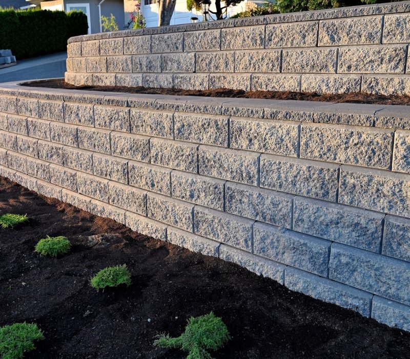 Santiago’s Landscaping Services Inc, Walkways California, Walkways CA, Walkways Paso Robles California, Walkways Paso Robles CA, Retaining Walls Paso Robles California, Retaining Walls Paso Robles CA, Patios Paso Robles California, Patios Paso Robles CA, Irrigation Paso Robles California, Irrigation Paso Robles CA, Sod Installation Paso Robles California, Sod Installation Paso Robles CA, Pavers Paso Robles California, Pavers Paso Robles CA, Stone Walls Paso Robles California, Stone Walls Paso Robles CA, Mulch Installation Paso Robles California, Mulch Installation Paso Robles CA, Planting Paso Robles California, Planting Paso Robles CA, Landscape Maintenance Paso Robles California, Landscape Maintenance Paso Robles CA, Clean Up Paso Robles California, Clean Up Paso Robles CA, Weed Control Paso Robles California, Weed Control Paso Robles CA, Walkways Templeton California, Walkways Templeton CA, Retaining Walls Templeton California, Retaining Walls Templeton CA, Patios Templeton California, Patios Templeton CA, Irrigation Templeton California, Irrigation Templeton CA, Sod Installation Templeton California, Sod Installation Templeton CA, Pavers Templeton California, Pavers Templeton CA, Stone Walls Templeton California, Stone Walls Templeton CA, Mulch Installation Templeton California, Mulch Installation Templeton CA, Planting Templeton California, Planting Templeton CA, Landscape Maintenance Templeton California, Landscape Maintenance Templeton CA, Clean Up Templeton California, Clean Up Templeton CA, Weed Control Templeton California, Weed Control Templeton CA, Walkways San Miguel California, Walkways San Miguel CA, Retaining Walls San Miguel California, Retaining Walls San Miguel CA, Patios San Miguel California, Patios San Miguel CA, Irrigation San Miguel California, Irrigation San Miguel CA, Sod Installation San Miguel California, Sod Installation San Miguel CA, Pavers San Miguel California, Pavers San Miguel CA, Stone Walls San Miguel California, Stone Walls San Miguel CA, Mulch Installation San Miguel California, Mulch Installation San Miguel CA, Planting San Miguel California, Planting San Miguel CA, Landscape Maintenance San Miguel California, Landscape Maintenance San Miguel CA, Clean Up San Miguel California, Clean Up San Miguel CA, Weed Control San Miguel California, Weed Control San Miguel CA, Walkways Atascadero California, Walkways Atascadero CA, Retaining Walls Atascadero California, Retaining Walls Atascadero CA, Patios Atascadero California, Patios Atascadero CA, Irrigation Atascadero California, Irrigation Atascadero CA, Sod Installation Atascadero California, Sod Installation Atascadero CA, Pavers Atascadero California, Pavers Atascadero CA, Stone Walls Atascadero California, Stone Walls Atascadero CA, Mulch Installation Atascadero California, Mulch Installation Atascadero CA, Planting Atascadero California, Planting Atascadero CA, Landscape Maintenance Atascadero California, Landscape Maintenance Atascadero CA, Clean Up Atascadero California, Clean Up Atascadero CA, Weed Control Atascadero California, Weed Control Atascadero CA, Walkways San Luis Obispo California, Walkways San Luis Obispo CA, Retaining Walls San Luis Obispo California, Retaining Walls San Luis Obispo CA, Patios San Luis Obispo California, Patios San Luis Obispo CA, Irrigation San Luis Obispo California, Irrigation San Luis Obispo CA, Sod Installation San Luis Obispo California, Sod Installation San Luis Obispo CA, Pavers San Luis Obispo California, Pavers San Luis Obispo CA, Stone Walls San Luis Obispo California, Stone Walls San Luis Obispo CA, Mulch Installation San Luis Obispo California, Mulch Installation San Luis Obispo CA, Planting San Luis Obispo California, Planting San Luis Obispo CA, Landscape Maintenance San Luis Obispo California, Landscape Maintenance San Luis Obispo CA, Clean Up San Luis Obispo California, Clean Up San Luis Obispo CA, Weed Control San Luis Obispo California, Weed Control San Luis Obispo CA,