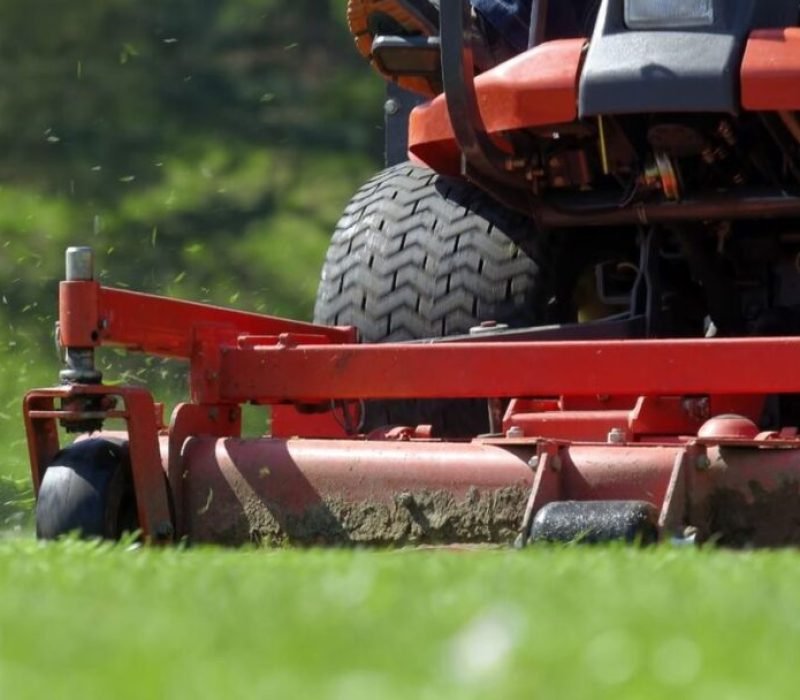 Santiago’s Landscaping Services Inc, Walkways California, Walkways CA, Walkways Paso Robles California, Walkways Paso Robles CA, Retaining Walls Paso Robles California, Retaining Walls Paso Robles CA, Patios Paso Robles California, Patios Paso Robles CA, Irrigation Paso Robles California, Irrigation Paso Robles CA, Sod Installation Paso Robles California, Sod Installation Paso Robles CA, Pavers Paso Robles California, Pavers Paso Robles CA, Stone Walls Paso Robles California, Stone Walls Paso Robles CA, Mulch Installation Paso Robles California, Mulch Installation Paso Robles CA, Planting Paso Robles California, Planting Paso Robles CA, Landscape Maintenance Paso Robles California, Landscape Maintenance Paso Robles CA, Clean Up Paso Robles California, Clean Up Paso Robles CA, Weed Control Paso Robles California, Weed Control Paso Robles CA, Walkways Templeton California, Walkways Templeton CA, Retaining Walls Templeton California, Retaining Walls Templeton CA, Patios Templeton California, Patios Templeton CA, Irrigation Templeton California, Irrigation Templeton CA, Sod Installation Templeton California, Sod Installation Templeton CA, Pavers Templeton California, Pavers Templeton CA, Stone Walls Templeton California, Stone Walls Templeton CA, Mulch Installation Templeton California, Mulch Installation Templeton CA, Planting Templeton California, Planting Templeton CA, Landscape Maintenance Templeton California, Landscape Maintenance Templeton CA, Clean Up Templeton California, Clean Up Templeton CA, Weed Control Templeton California, Weed Control Templeton CA, Walkways San Miguel California, Walkways San Miguel CA, Retaining Walls San Miguel California, Retaining Walls San Miguel CA, Patios San Miguel California, Patios San Miguel CA, Irrigation San Miguel California, Irrigation San Miguel CA, Sod Installation San Miguel California, Sod Installation San Miguel CA, Pavers San Miguel California, Pavers San Miguel CA, Stone Walls San Miguel California, Stone Walls San Miguel CA, Mulch Installation San Miguel California, Mulch Installation San Miguel CA, Planting San Miguel California, Planting San Miguel CA, Landscape Maintenance San Miguel California, Landscape Maintenance San Miguel CA, Clean Up San Miguel California, Clean Up San Miguel CA, Weed Control San Miguel California, Weed Control San Miguel CA, Walkways Atascadero California, Walkways Atascadero CA, Retaining Walls Atascadero California, Retaining Walls Atascadero CA, Patios Atascadero California, Patios Atascadero CA, Irrigation Atascadero California, Irrigation Atascadero CA, Sod Installation Atascadero California, Sod Installation Atascadero CA, Pavers Atascadero California, Pavers Atascadero CA, Stone Walls Atascadero California, Stone Walls Atascadero CA, Mulch Installation Atascadero California, Mulch Installation Atascadero CA, Planting Atascadero California, Planting Atascadero CA, Landscape Maintenance Atascadero California, Landscape Maintenance Atascadero CA, Clean Up Atascadero California, Clean Up Atascadero CA, Weed Control Atascadero California, Weed Control Atascadero CA, Walkways San Luis Obispo California, Walkways San Luis Obispo CA, Retaining Walls San Luis Obispo California, Retaining Walls San Luis Obispo CA, Patios San Luis Obispo California, Patios San Luis Obispo CA, Irrigation San Luis Obispo California, Irrigation San Luis Obispo CA, Sod Installation San Luis Obispo California, Sod Installation San Luis Obispo CA, Pavers San Luis Obispo California, Pavers San Luis Obispo CA, Stone Walls San Luis Obispo California, Stone Walls San Luis Obispo CA, Mulch Installation San Luis Obispo California, Mulch Installation San Luis Obispo CA, Planting San Luis Obispo California, Planting San Luis Obispo CA, Landscape Maintenance San Luis Obispo California, Landscape Maintenance San Luis Obispo CA, Clean Up San Luis Obispo California, Clean Up San Luis Obispo CA, Weed Control San Luis Obispo California, Weed Control San Luis Obispo CA,