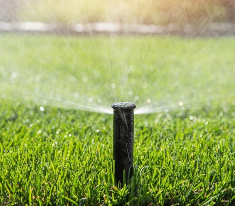 Santiago’s Landscaping Services Inc, Walkways California, Walkways CA, Walkways Paso Robles California, Walkways Paso Robles CA, Retaining Walls Paso Robles California, Retaining Walls Paso Robles CA, Patios Paso Robles California, Patios Paso Robles CA, Irrigation Paso Robles California, Irrigation Paso Robles CA, Sod Installation Paso Robles California, Sod Installation Paso Robles CA, Pavers Paso Robles California, Pavers Paso Robles CA, Stone Walls Paso Robles California, Stone Walls Paso Robles CA, Mulch Installation Paso Robles California, Mulch Installation Paso Robles CA, Planting Paso Robles California, Planting Paso Robles CA, Landscape Maintenance Paso Robles California, Landscape Maintenance Paso Robles CA, Clean Up Paso Robles California, Clean Up Paso Robles CA, Weed Control Paso Robles California, Weed Control Paso Robles CA, Walkways Templeton California, Walkways Templeton CA, Retaining Walls Templeton California, Retaining Walls Templeton CA, Patios Templeton California, Patios Templeton CA, Irrigation Templeton California, Irrigation Templeton CA, Sod Installation Templeton California, Sod Installation Templeton CA, Pavers Templeton California, Pavers Templeton CA, Stone Walls Templeton California, Stone Walls Templeton CA, Mulch Installation Templeton California, Mulch Installation Templeton CA, Planting Templeton California, Planting Templeton CA, Landscape Maintenance Templeton California, Landscape Maintenance Templeton CA, Clean Up Templeton California, Clean Up Templeton CA, Weed Control Templeton California, Weed Control Templeton CA, Walkways San Miguel California, Walkways San Miguel CA, Retaining Walls San Miguel California, Retaining Walls San Miguel CA, Patios San Miguel California, Patios San Miguel CA, Irrigation San Miguel California, Irrigation San Miguel CA, Sod Installation San Miguel California, Sod Installation San Miguel CA, Pavers San Miguel California, Pavers San Miguel CA, Stone Walls San Miguel California, Stone Walls San Miguel CA, Mulch Installation San Miguel California, Mulch Installation San Miguel CA, Planting San Miguel California, Planting San Miguel CA, Landscape Maintenance San Miguel California, Landscape Maintenance San Miguel CA, Clean Up San Miguel California, Clean Up San Miguel CA, Weed Control San Miguel California, Weed Control San Miguel CA, Walkways Atascadero California, Walkways Atascadero CA, Retaining Walls Atascadero California, Retaining Walls Atascadero CA, Patios Atascadero California, Patios Atascadero CA, Irrigation Atascadero California, Irrigation Atascadero CA, Sod Installation Atascadero California, Sod Installation Atascadero CA, Pavers Atascadero California, Pavers Atascadero CA, Stone Walls Atascadero California, Stone Walls Atascadero CA, Mulch Installation Atascadero California, Mulch Installation Atascadero CA, Planting Atascadero California, Planting Atascadero CA, Landscape Maintenance Atascadero California, Landscape Maintenance Atascadero CA, Clean Up Atascadero California, Clean Up Atascadero CA, Weed Control Atascadero California, Weed Control Atascadero CA, Walkways San Luis Obispo California, Walkways San Luis Obispo CA, Retaining Walls San Luis Obispo California, Retaining Walls San Luis Obispo CA, Patios San Luis Obispo California, Patios San Luis Obispo CA, Irrigation San Luis Obispo California, Irrigation San Luis Obispo CA, Sod Installation San Luis Obispo California, Sod Installation San Luis Obispo CA, Pavers San Luis Obispo California, Pavers San Luis Obispo CA, Stone Walls San Luis Obispo California, Stone Walls San Luis Obispo CA, Mulch Installation San Luis Obispo California, Mulch Installation San Luis Obispo CA, Planting San Luis Obispo California, Planting San Luis Obispo CA, Landscape Maintenance San Luis Obispo California, Landscape Maintenance San Luis Obispo CA, Clean Up San Luis Obispo California, Clean Up San Luis Obispo CA, Weed Control San Luis Obispo California, Weed Control San Luis Obispo CA,