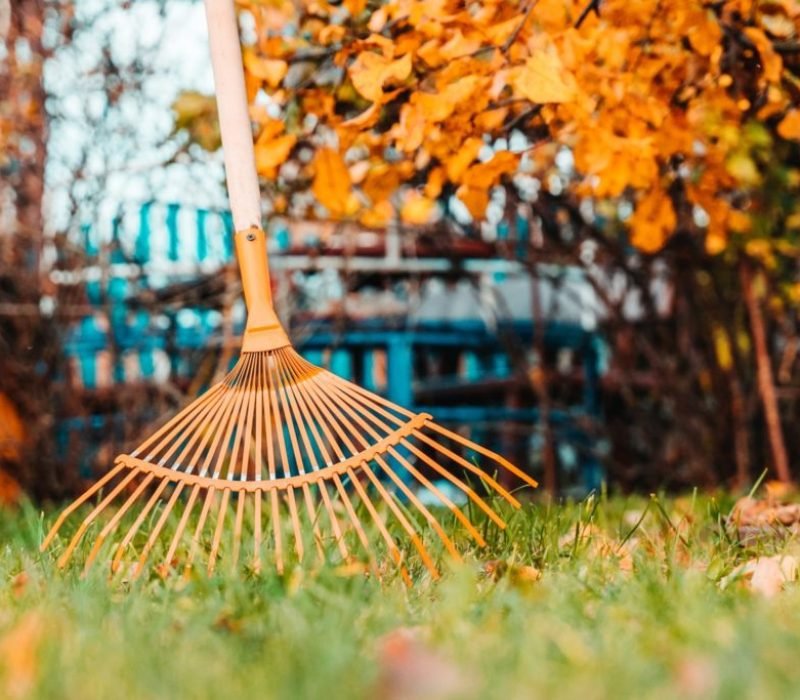 Santiago’s Landscaping Services Inc, Walkways California, Walkways CA, Walkways Paso Robles California, Walkways Paso Robles CA, Retaining Walls Paso Robles California, Retaining Walls Paso Robles CA, Patios Paso Robles California, Patios Paso Robles CA, Irrigation Paso Robles California, Irrigation Paso Robles CA, Sod Installation Paso Robles California, Sod Installation Paso Robles CA, Pavers Paso Robles California, Pavers Paso Robles CA, Stone Walls Paso Robles California, Stone Walls Paso Robles CA, Mulch Installation Paso Robles California, Mulch Installation Paso Robles CA, Planting Paso Robles California, Planting Paso Robles CA, Landscape Maintenance Paso Robles California, Landscape Maintenance Paso Robles CA, Clean Up Paso Robles California, Clean Up Paso Robles CA, Weed Control Paso Robles California, Weed Control Paso Robles CA, Walkways Templeton California, Walkways Templeton CA, Retaining Walls Templeton California, Retaining Walls Templeton CA, Patios Templeton California, Patios Templeton CA, Irrigation Templeton California, Irrigation Templeton CA, Sod Installation Templeton California, Sod Installation Templeton CA, Pavers Templeton California, Pavers Templeton CA, Stone Walls Templeton California, Stone Walls Templeton CA, Mulch Installation Templeton California, Mulch Installation Templeton CA, Planting Templeton California, Planting Templeton CA, Landscape Maintenance Templeton California, Landscape Maintenance Templeton CA, Clean Up Templeton California, Clean Up Templeton CA, Weed Control Templeton California, Weed Control Templeton CA, Walkways San Miguel California, Walkways San Miguel CA, Retaining Walls San Miguel California, Retaining Walls San Miguel CA, Patios San Miguel California, Patios San Miguel CA, Irrigation San Miguel California, Irrigation San Miguel CA, Sod Installation San Miguel California, Sod Installation San Miguel CA, Pavers San Miguel California, Pavers San Miguel CA, Stone Walls San Miguel California, Stone Walls San Miguel CA, Mulch Installation San Miguel California, Mulch Installation San Miguel CA, Planting San Miguel California, Planting San Miguel CA, Landscape Maintenance San Miguel California, Landscape Maintenance San Miguel CA, Clean Up San Miguel California, Clean Up San Miguel CA, Weed Control San Miguel California, Weed Control San Miguel CA, Walkways Atascadero California, Walkways Atascadero CA, Retaining Walls Atascadero California, Retaining Walls Atascadero CA, Patios Atascadero California, Patios Atascadero CA, Irrigation Atascadero California, Irrigation Atascadero CA, Sod Installation Atascadero California, Sod Installation Atascadero CA, Pavers Atascadero California, Pavers Atascadero CA, Stone Walls Atascadero California, Stone Walls Atascadero CA, Mulch Installation Atascadero California, Mulch Installation Atascadero CA, Planting Atascadero California, Planting Atascadero CA, Landscape Maintenance Atascadero California, Landscape Maintenance Atascadero CA, Clean Up Atascadero California, Clean Up Atascadero CA, Weed Control Atascadero California, Weed Control Atascadero CA, Walkways San Luis Obispo California, Walkways San Luis Obispo CA, Retaining Walls San Luis Obispo California, Retaining Walls San Luis Obispo CA, Patios San Luis Obispo California, Patios San Luis Obispo CA, Irrigation San Luis Obispo California, Irrigation San Luis Obispo CA, Sod Installation San Luis Obispo California, Sod Installation San Luis Obispo CA, Pavers San Luis Obispo California, Pavers San Luis Obispo CA, Stone Walls San Luis Obispo California, Stone Walls San Luis Obispo CA, Mulch Installation San Luis Obispo California, Mulch Installation San Luis Obispo CA, Planting San Luis Obispo California, Planting San Luis Obispo CA, Landscape Maintenance San Luis Obispo California, Landscape Maintenance San Luis Obispo CA, Clean Up San Luis Obispo California, Clean Up San Luis Obispo CA, Weed Control San Luis Obispo California, Weed Control San Luis Obispo CA,