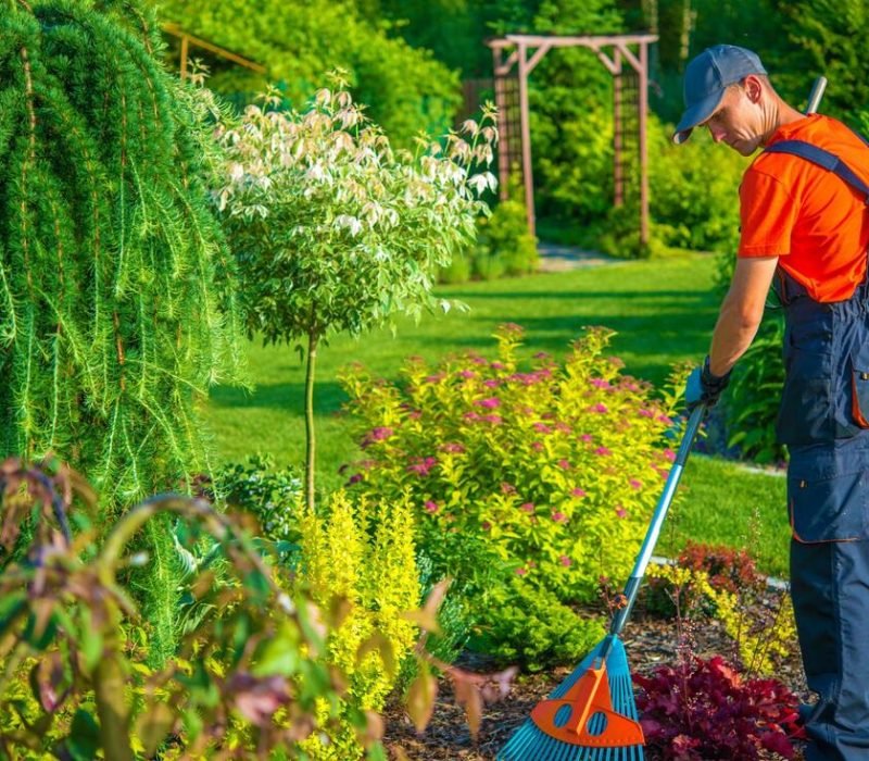 Santiago’s Landscaping Services Inc, Walkways California, Walkways CA, Walkways Paso Robles California, Walkways Paso Robles CA, Retaining Walls Paso Robles California, Retaining Walls Paso Robles CA, Patios Paso Robles California, Patios Paso Robles CA, Irrigation Paso Robles California, Irrigation Paso Robles CA, Sod Installation Paso Robles California, Sod Installation Paso Robles CA, Pavers Paso Robles California, Pavers Paso Robles CA, Stone Walls Paso Robles California, Stone Walls Paso Robles CA, Mulch Installation Paso Robles California, Mulch Installation Paso Robles CA, Planting Paso Robles California, Planting Paso Robles CA, Landscape Maintenance Paso Robles California, Landscape Maintenance Paso Robles CA, Clean Up Paso Robles California, Clean Up Paso Robles CA, Weed Control Paso Robles California, Weed Control Paso Robles CA, Walkways Templeton California, Walkways Templeton CA, Retaining Walls Templeton California, Retaining Walls Templeton CA, Patios Templeton California, Patios Templeton CA, Irrigation Templeton California, Irrigation Templeton CA, Sod Installation Templeton California, Sod Installation Templeton CA, Pavers Templeton California, Pavers Templeton CA, Stone Walls Templeton California, Stone Walls Templeton CA, Mulch Installation Templeton California, Mulch Installation Templeton CA, Planting Templeton California, Planting Templeton CA, Landscape Maintenance Templeton California, Landscape Maintenance Templeton CA, Clean Up Templeton California, Clean Up Templeton CA, Weed Control Templeton California, Weed Control Templeton CA, Walkways San Miguel California, Walkways San Miguel CA, Retaining Walls San Miguel California, Retaining Walls San Miguel CA, Patios San Miguel California, Patios San Miguel CA, Irrigation San Miguel California, Irrigation San Miguel CA, Sod Installation San Miguel California, Sod Installation San Miguel CA, Pavers San Miguel California, Pavers San Miguel CA, Stone Walls San Miguel California, Stone Walls San Miguel CA, Mulch Installation San Miguel California, Mulch Installation San Miguel CA, Planting San Miguel California, Planting San Miguel CA, Landscape Maintenance San Miguel California, Landscape Maintenance San Miguel CA, Clean Up San Miguel California, Clean Up San Miguel CA, Weed Control San Miguel California, Weed Control San Miguel CA, Walkways Atascadero California, Walkways Atascadero CA, Retaining Walls Atascadero California, Retaining Walls Atascadero CA, Patios Atascadero California, Patios Atascadero CA, Irrigation Atascadero California, Irrigation Atascadero CA, Sod Installation Atascadero California, Sod Installation Atascadero CA, Pavers Atascadero California, Pavers Atascadero CA, Stone Walls Atascadero California, Stone Walls Atascadero CA, Mulch Installation Atascadero California, Mulch Installation Atascadero CA, Planting Atascadero California, Planting Atascadero CA, Landscape Maintenance Atascadero California, Landscape Maintenance Atascadero CA, Clean Up Atascadero California, Clean Up Atascadero CA, Weed Control Atascadero California, Weed Control Atascadero CA, Walkways San Luis Obispo California, Walkways San Luis Obispo CA, Retaining Walls San Luis Obispo California, Retaining Walls San Luis Obispo CA, Patios San Luis Obispo California, Patios San Luis Obispo CA, Irrigation San Luis Obispo California, Irrigation San Luis Obispo CA, Sod Installation San Luis Obispo California, Sod Installation San Luis Obispo CA, Pavers San Luis Obispo California, Pavers San Luis Obispo CA, Stone Walls San Luis Obispo California, Stone Walls San Luis Obispo CA, Mulch Installation San Luis Obispo California, Mulch Installation San Luis Obispo CA, Planting San Luis Obispo California, Planting San Luis Obispo CA, Landscape Maintenance San Luis Obispo California, Landscape Maintenance San Luis Obispo CA, Clean Up San Luis Obispo California, Clean Up San Luis Obispo CA, Weed Control San Luis Obispo California, Weed Control San Luis Obispo CA,