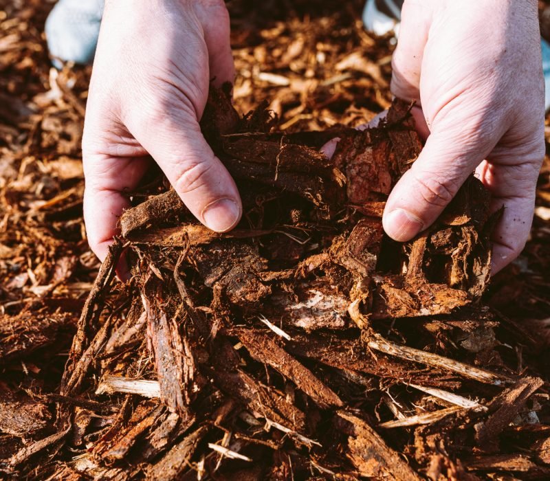 Santiago’s Landscaping Services Inc, Walkways California, Walkways CA, Walkways Paso Robles California, Walkways Paso Robles CA, Retaining Walls Paso Robles California, Retaining Walls Paso Robles CA, Patios Paso Robles California, Patios Paso Robles CA, Irrigation Paso Robles California, Irrigation Paso Robles CA, Sod Installation Paso Robles California, Sod Installation Paso Robles CA, Pavers Paso Robles California, Pavers Paso Robles CA, Stone Walls Paso Robles California, Stone Walls Paso Robles CA, Mulch Installation Paso Robles California, Mulch Installation Paso Robles CA, Planting Paso Robles California, Planting Paso Robles CA, Landscape Maintenance Paso Robles California, Landscape Maintenance Paso Robles CA, Clean Up Paso Robles California, Clean Up Paso Robles CA, Weed Control Paso Robles California, Weed Control Paso Robles CA, Walkways Templeton California, Walkways Templeton CA, Retaining Walls Templeton California, Retaining Walls Templeton CA, Patios Templeton California, Patios Templeton CA, Irrigation Templeton California, Irrigation Templeton CA, Sod Installation Templeton California, Sod Installation Templeton CA, Pavers Templeton California, Pavers Templeton CA, Stone Walls Templeton California, Stone Walls Templeton CA, Mulch Installation Templeton California, Mulch Installation Templeton CA, Planting Templeton California, Planting Templeton CA, Landscape Maintenance Templeton California, Landscape Maintenance Templeton CA, Clean Up Templeton California, Clean Up Templeton CA, Weed Control Templeton California, Weed Control Templeton CA, Walkways San Miguel California, Walkways San Miguel CA, Retaining Walls San Miguel California, Retaining Walls San Miguel CA, Patios San Miguel California, Patios San Miguel CA, Irrigation San Miguel California, Irrigation San Miguel CA, Sod Installation San Miguel California, Sod Installation San Miguel CA, Pavers San Miguel California, Pavers San Miguel CA, Stone Walls San Miguel California, Stone Walls San Miguel CA, Mulch Installation San Miguel California, Mulch Installation San Miguel CA, Planting San Miguel California, Planting San Miguel CA, Landscape Maintenance San Miguel California, Landscape Maintenance San Miguel CA, Clean Up San Miguel California, Clean Up San Miguel CA, Weed Control San Miguel California, Weed Control San Miguel CA, Walkways Atascadero California, Walkways Atascadero CA, Retaining Walls Atascadero California, Retaining Walls Atascadero CA, Patios Atascadero California, Patios Atascadero CA, Irrigation Atascadero California, Irrigation Atascadero CA, Sod Installation Atascadero California, Sod Installation Atascadero CA, Pavers Atascadero California, Pavers Atascadero CA, Stone Walls Atascadero California, Stone Walls Atascadero CA, Mulch Installation Atascadero California, Mulch Installation Atascadero CA, Planting Atascadero California, Planting Atascadero CA, Landscape Maintenance Atascadero California, Landscape Maintenance Atascadero CA, Clean Up Atascadero California, Clean Up Atascadero CA, Weed Control Atascadero California, Weed Control Atascadero CA, Walkways San Luis Obispo California, Walkways San Luis Obispo CA, Retaining Walls San Luis Obispo California, Retaining Walls San Luis Obispo CA, Patios San Luis Obispo California, Patios San Luis Obispo CA, Irrigation San Luis Obispo California, Irrigation San Luis Obispo CA, Sod Installation San Luis Obispo California, Sod Installation San Luis Obispo CA, Pavers San Luis Obispo California, Pavers San Luis Obispo CA, Stone Walls San Luis Obispo California, Stone Walls San Luis Obispo CA, Mulch Installation San Luis Obispo California, Mulch Installation San Luis Obispo CA, Planting San Luis Obispo California, Planting San Luis Obispo CA, Landscape Maintenance San Luis Obispo California, Landscape Maintenance San Luis Obispo CA, Clean Up San Luis Obispo California, Clean Up San Luis Obispo CA, Weed Control San Luis Obispo California, Weed Control San Luis Obispo CA,